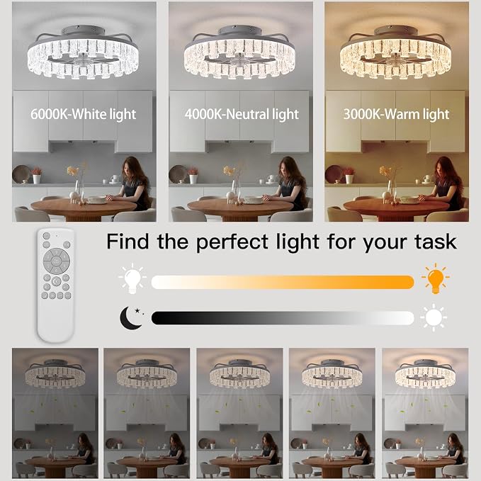 Dalouguan Rustic Silver Caged Ceiling Fan with Light, Personalized Fashion Ceiling Fan Remote Control with Acrylic, LED Low Profile Ceiling Light for Bedroom Kitchen Living Room