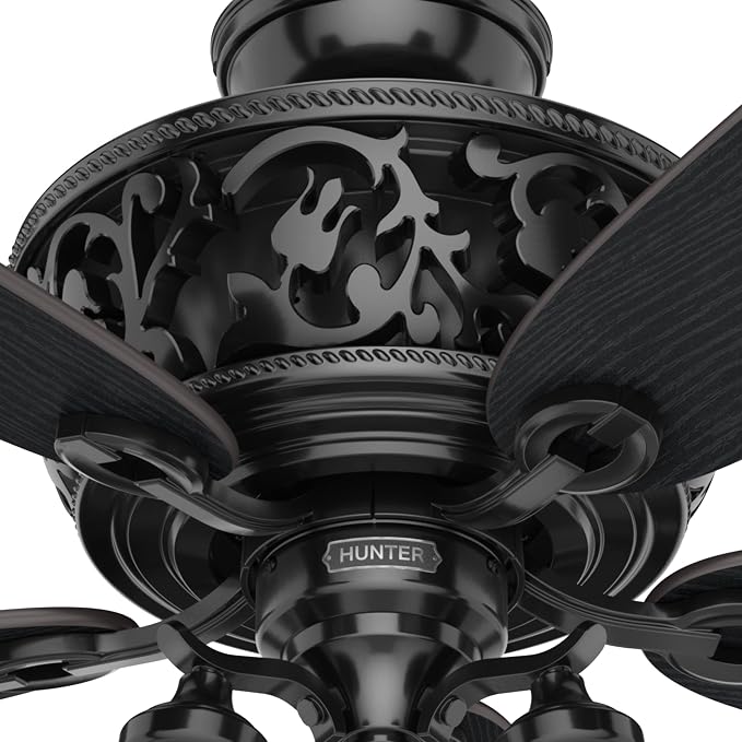 Hunter Promenade, Indoor, Ceiling Fan, Standard Mount, 54 inch, Gloss Black