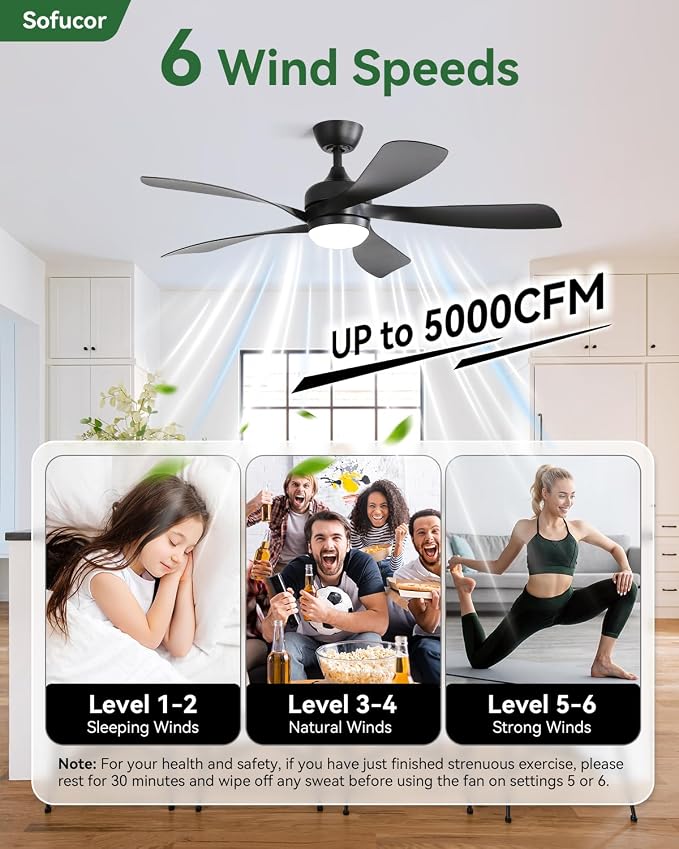 Sofucor 52 Inch Ceiling Fans with Lights and Remote, Outdoor Ceiling Fan with Light 6-Speed 3 CCT 3-Timer, Black Low Profile Ceiling Fan 5 Blade Reversible DC Motor for Living Room Bedroom Patio