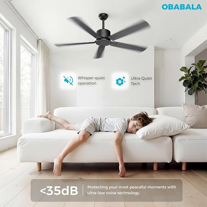 Obabala Outdoor Ceiling Fan No Light, 52 Inch Black Modern Ceiling Fan Without Light, Dual Finish 5 Blades,6 Speed, Reversible Quiet DC Motor for Patios, Garage, Bedroom, Porch