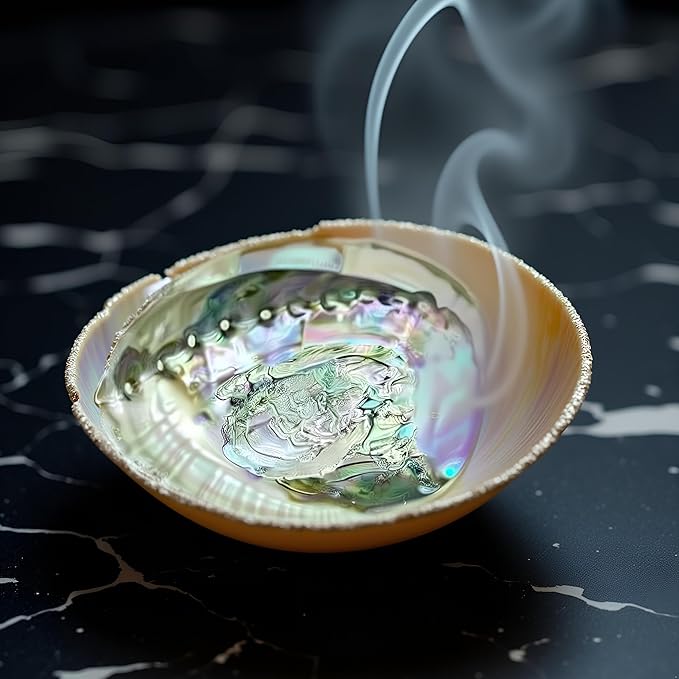 Colorful Fashionable Large Abalone Shell Bowl, 4-4.5 Inch Exquisite Natural Sea Shell Smudge Bowl for Sage Burning and Incense for Decor, Display and Great Gift, Incense Holders, Decorations