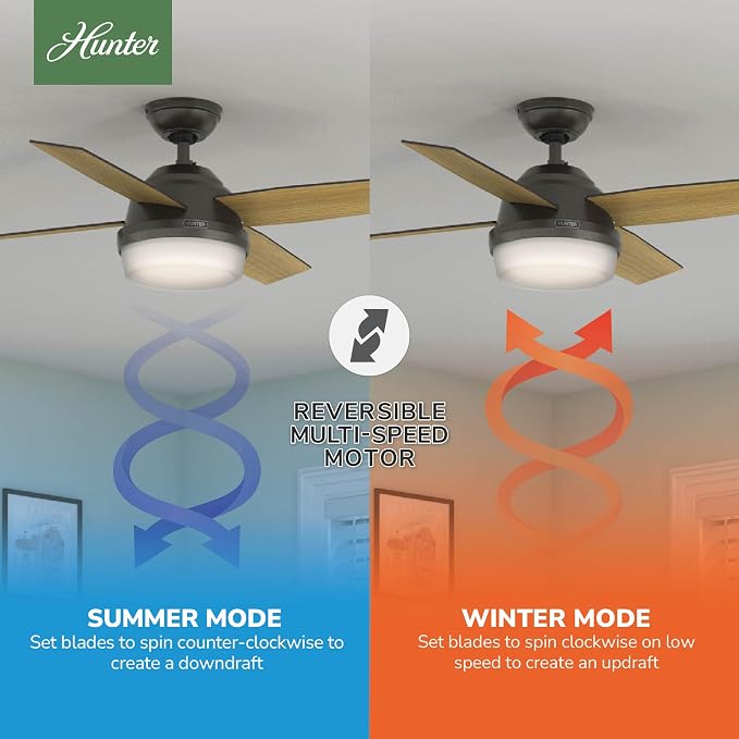 Hunter 44 inch Indoor Ceiling Fan with LED Light and Remote Control - Bronze Modern Ceiling Fan, Standard Mount, 4 Blades, For Bedroom, Living Room, or Kitchen - Dempsey 59444, Noble Bronze