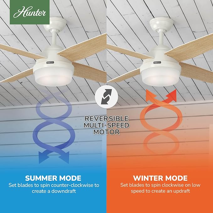 Hunter Dempsey, Indoor, Ceiling Fan, Modern, 4 Blades, 44 inch, Fresh White | with LED Light and Remote Control, Standard Mount, For Bedroom, Living Room, Kitchen, 59246