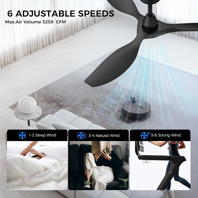 Roomratv Ceiling Fans with Lights and Remote Control,Quiet Noiseless Reversible DC Motor,6 Speeds,Timers, 3 CCT, Indoor Use, Plastic Blades,52 Inch Black Ceiling Fan Smart APP Control for Living Room
