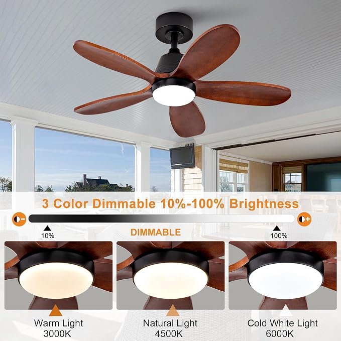 Ceiling Fans with Lights, 36 inch Modern Ceiling Fan with Light and Remote Control, 3CCT, Dimmable, Reversible, Noiseless, Black Ceiling Fan for Bedroom, Living Room