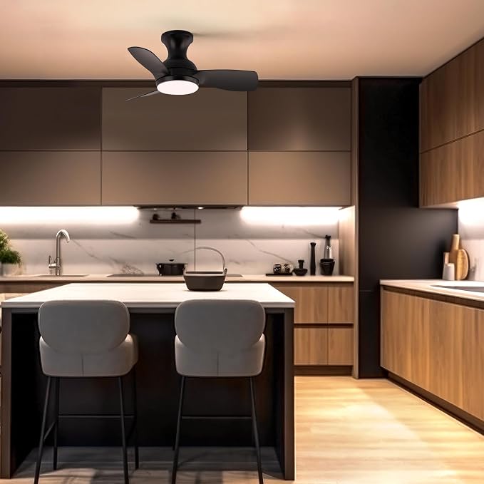 Consciot Ceiling Fan With Lights 30 Inch, Kids Ceiling Fan Black Modern, Flush Mount, Reversible Quiet DC Motor, 6 Speed, Dimmable, Kitchen Bedroom Patio