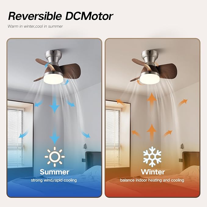 20 Inch Ceiling Fan with Light，3 Blades，Silver with Light with Remote Control Small Ceiling Fan ， Suitable for Living Room, Dining Room，Bedroom
