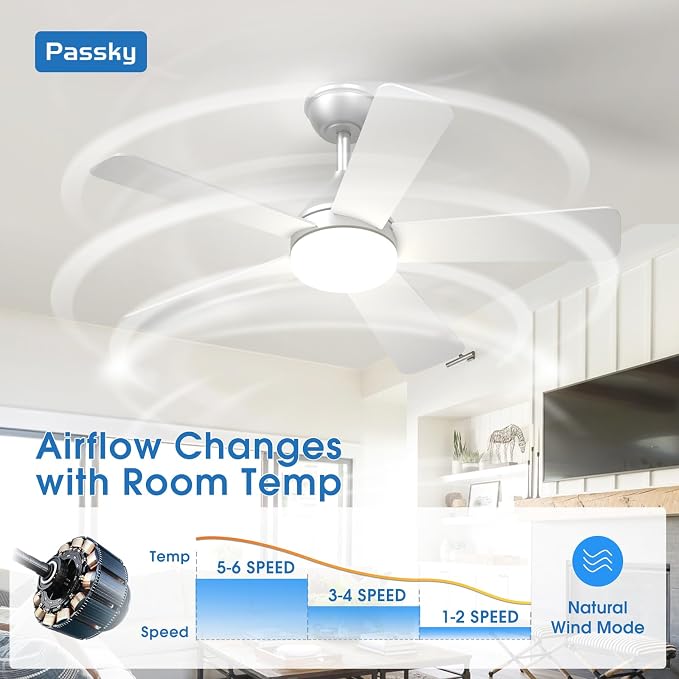 Passky Ceiling Fans with Lights, 42 inch Sleek Ceiling Fan with Light and Remote Control, 3CCT, Dimmable, Reversible, Noiseless, Silver Ceiling Fan for Bedroom, Living Room