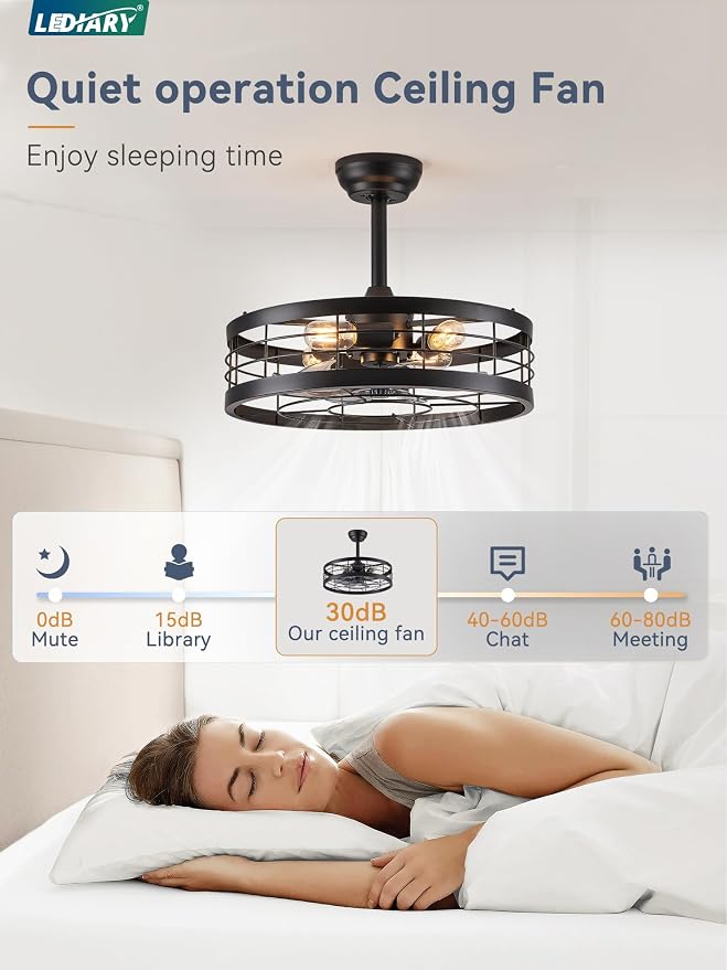 LEDIARY 20 inch Fandelier Caged Ceiling Fan with Light, Bladeless Ceiling Fan with Remote, Farmhouse Fan Ceiling Light Fixtures for Kitchen, Bedroom, Outdoor(6 Speed, Timing)-Black