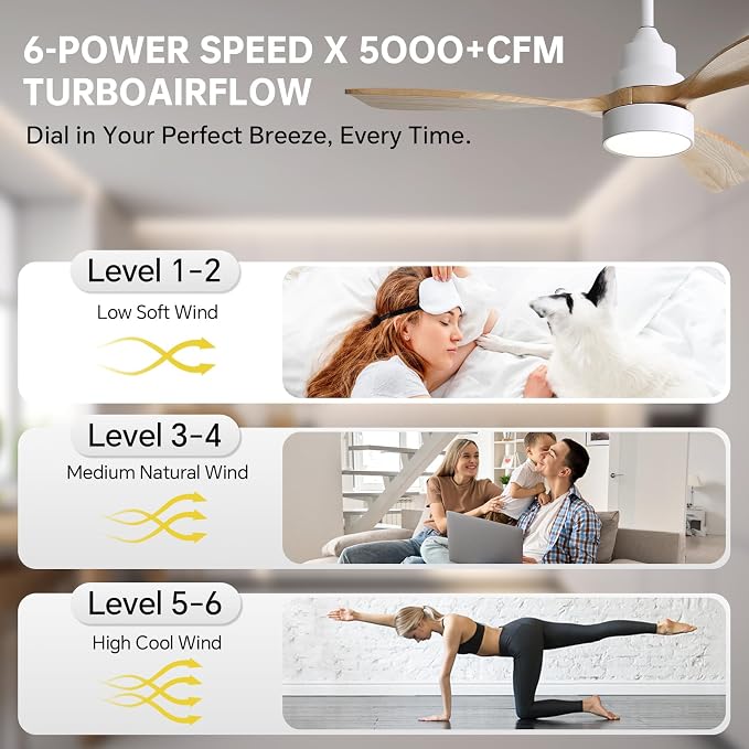 CACI Mall 48 inch Ceiling Fans with Lights, Smart Indoor/Outdoor Ceiling Fan, Remote Control, Compatible with Alexa/Google, Small 3 Blade Solid Wood Ceiling Fans for Bedroom Patio