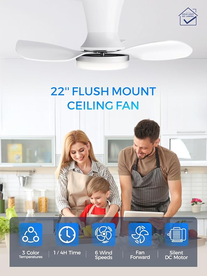 LANMEL Ceiling Fan with Light, Modern Flush Mount Low Profile with Remote Control, Reversible, 3CCT Dimmable, Quiet,LED for Bedroom, Living Room, Indoor/Outdoor Patio Use 22 Inch Silver & White