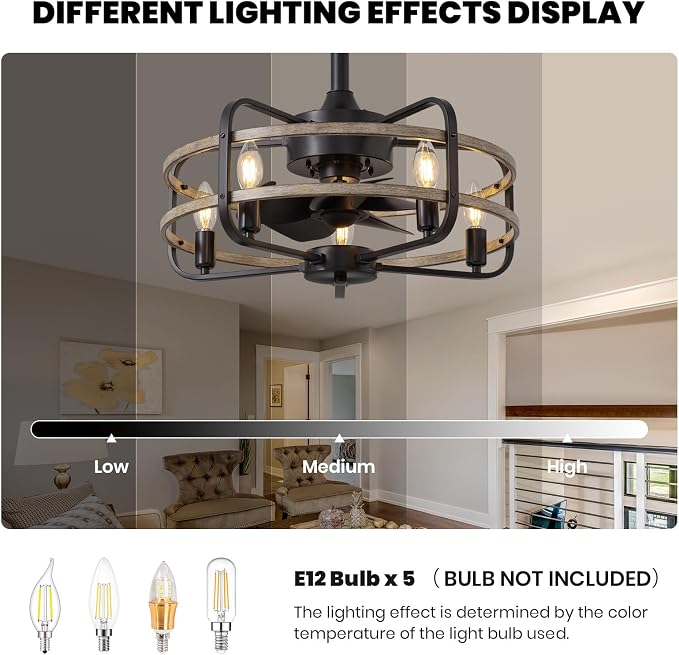 NOXARTE 20 Inch Caged Ceiling Fan with Light and Remote, Flush Mount Vintage Farmhouse Fandelier 6 Speeds Reverse Motor Rustic Bladeless Ceiling Fan for Bedroom Living Room Dining Room