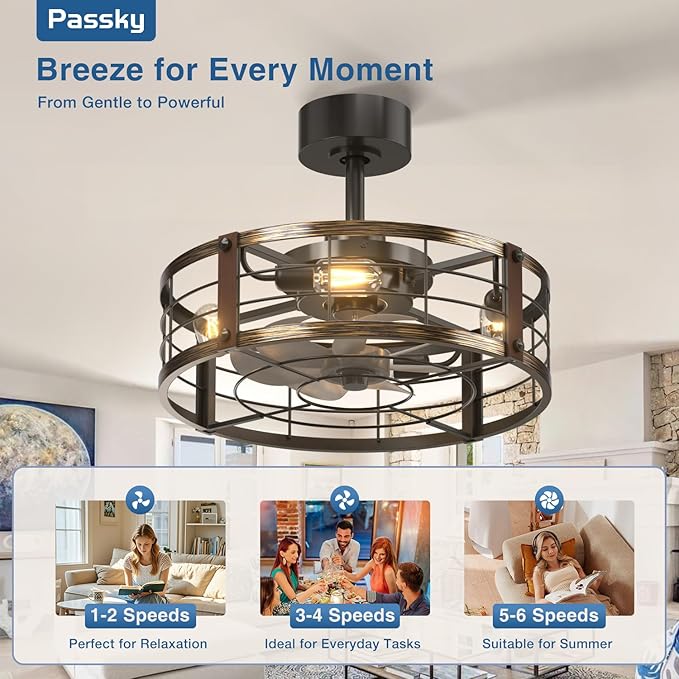 Passky 20 Inch Farmhouse Caged Ceiling Fans with Lights and Remote, Black Downrod Mount Bladeless Fandelier, 6 Speeds Bladeless Ceiling Fan Light for Bedroom, Kitchen, Living Room, Indoor