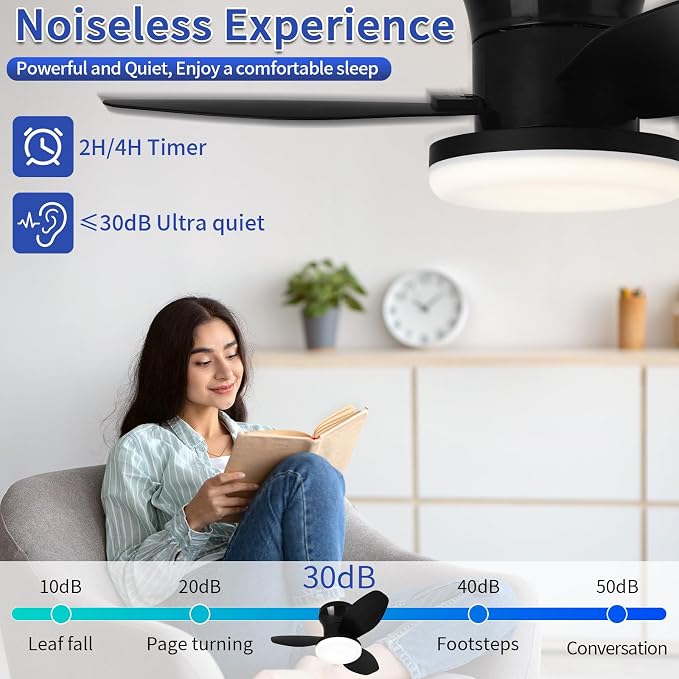 Small Ceiling Fan with Lights, 25" Flush Mount with Remote Control | Reversible Quiet DC Motor,Black,3 Blades,6 Speeds,Dimmable LED,Adjustable Color Temperature,Timer,for bedroom Kitchen indoor