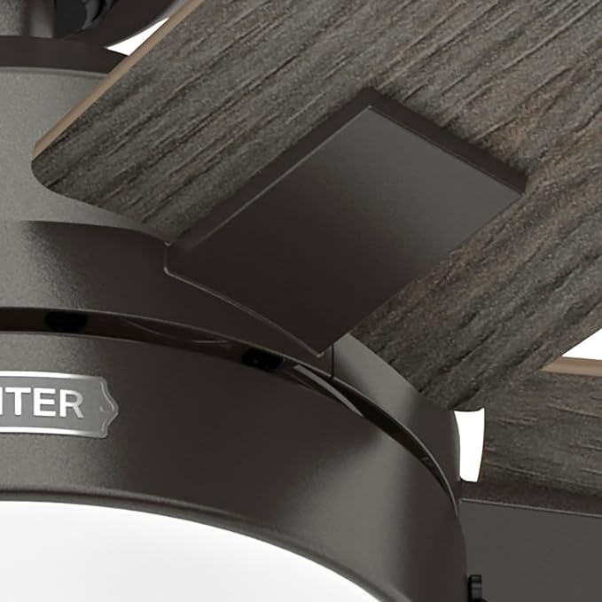 Hunter 52" Anisten Indoor Ceiling Fan, LED Light, Pull Chain, Noble Bronze | WhisperWind whisper-quiet motor, DuraLight lens, and 3" downrod support bedrooms, offices, and great rooms year-round.
