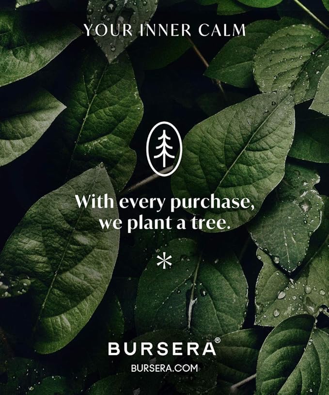 Bursera Onyx Ceramic Plate, Tree Planted with Every Order, Smudging Tray for Palo Santo, White Sage, Incense Burner and Jewelry Dish, Decorative Plate