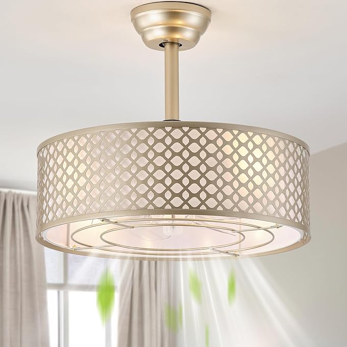 Gold Fandelier Ceiling Fan with Light, 20" Caged Boho Ceiling Fans with Lights and Remote, Mid Century with 6 Speeds for Bedroom, Living Room, Nursery