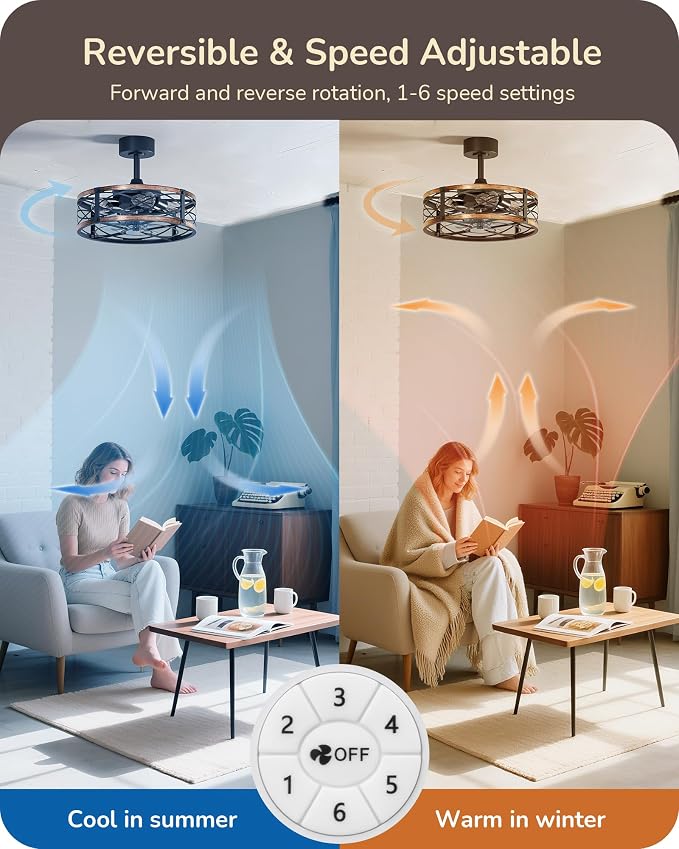 EDISHINE 20 Inch Fandelier Caged Ceiling Fans with Lights and Remote, 10%-100% Dimmable, Rustic Bladeless Ceiling Fan, Small Farmhouse Fan Lights Ceiling Fixtures for Kitchen, Bedroom-Brushed Gold
