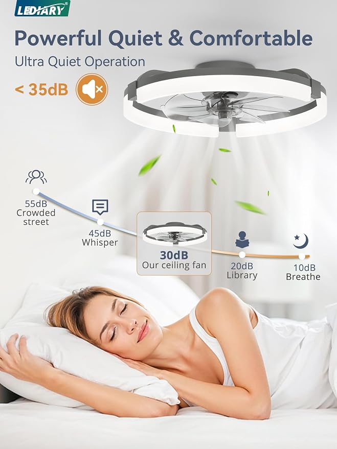LEDIARY 20" Ceiling Fans with Lights and Remote, Modern Low Profile Ceiling Fan, 3 CCT, Stepless Dimmable, Fandelier Flush Mount Fan Light, 6 Speeds, DC Motor, App & Remote Control for Bedroom(Gray)