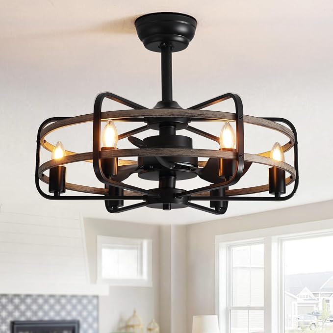 NOXARTE Cage Ceiling Fan with Light, Vintage Fandelier Remote Control, Bladess Industrial Chandelier Ceiling Fan Reverse Motor for Living Dining Room Bedroom Dia 25 Inch