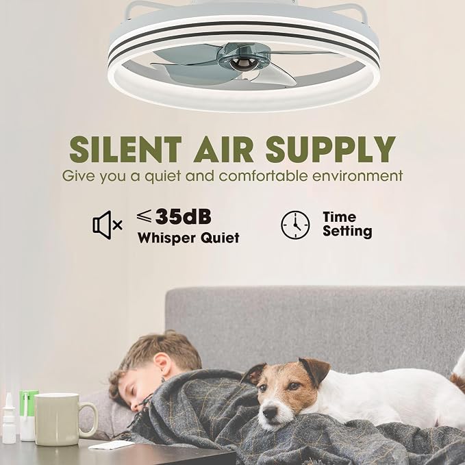 LUDOMIDE Smart Ceiling Fan with Lights, Alexa/Google Assistant/APP Control, 20" Low Profile Fan with 6 Speeds, Bedroom, Living Room, Patio