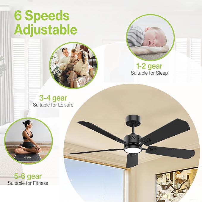 DAMINY 52 inch Ceiling Fan with Light,6CCT,5 Blade,Low Profile Ceiling Fan with Light and Remote Control,Downrods,Black,Living Room,Indoor/Outdoor Use