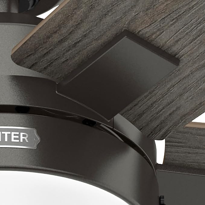 Hunter 44" Anisten Indoor Ceiling Fan, LED Light, Pull Chain, Noble Bronze | WhisperWind whisper-quiet motor, DuraLight lens, and 3" downrod support bedrooms, offices, and small rooms year-round.