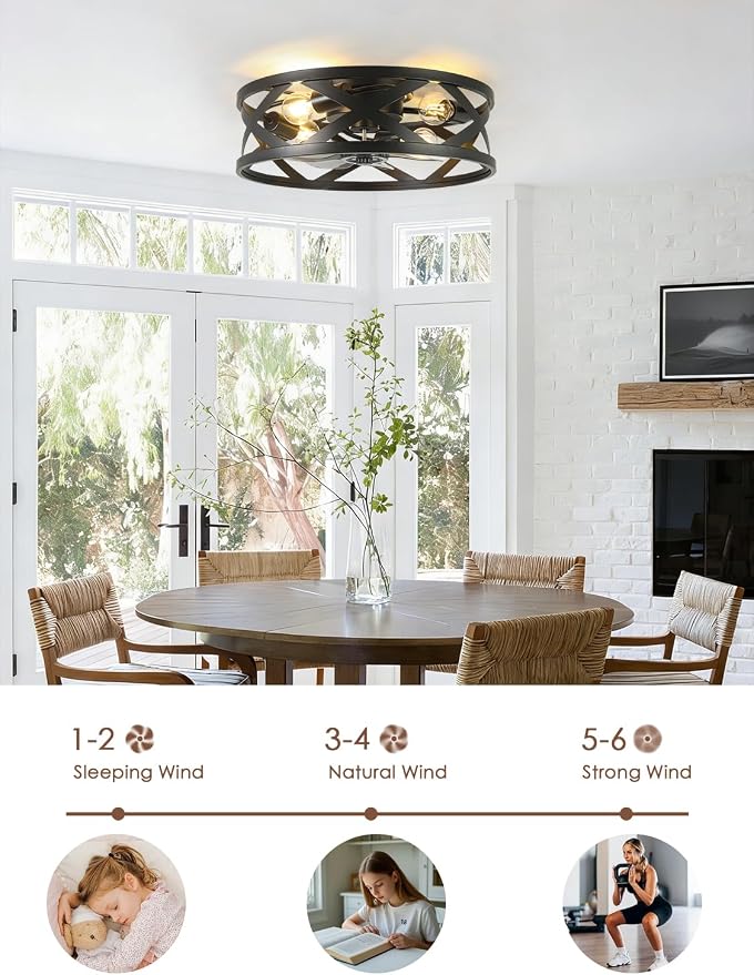 20 Inch Caged Ceiling Fan Light with Remote, Black Flush Mount Bladeless | Ceiling Fan with 6 Speed Reversible DC Motor, Fandelier Ceiling Fans with Lights for Kitchen bedroom