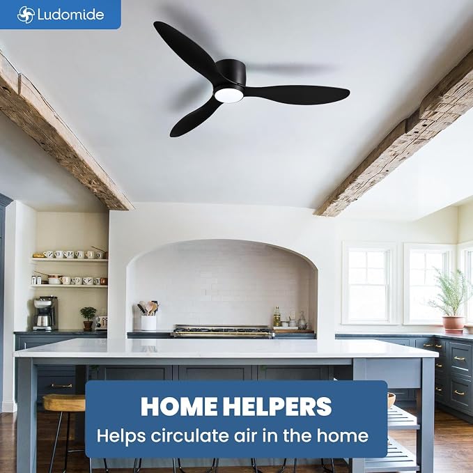 LUDOMIDE Ceiling Fans with Lights,52 Inch Low Profile Ceiling Fan with Wall Control and Remote Control,Dimmable,Flush Mount Ceiling Fan with Noiseless DC Reversible Motor for Bedroom Indoor Use