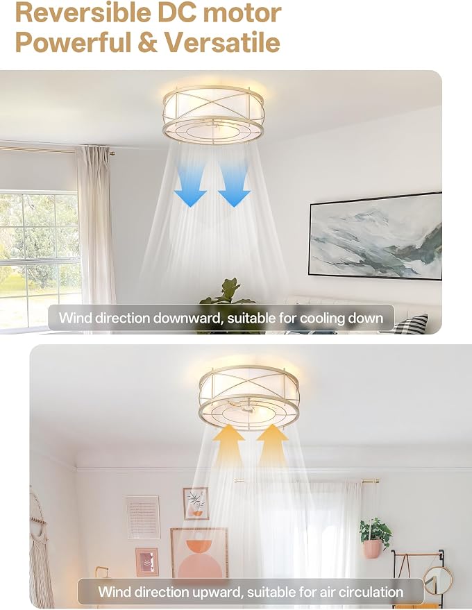 Gold Flush Mount Boho Ceiling Fan with Lights, 20" Caged Rattan Ceiling Fans with Light and Remote, Enclosed with 6 Speeds for Living Room, Bedroom, Nursery