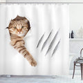 Ambesonne Animal Shower Curtain, Funny Cat in Hole with Claw Scratches Playful Kitten Pet Picture, Cloth Fabric Bathroom Decor Set with Hooks, 69" W x 70" L, White Brown