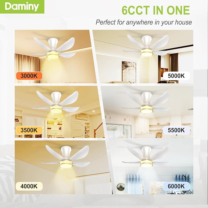 DAMINY 30 Inch White and Gold 5 Blade Ceiling Fan with Light, Modern Ceiling Fan with Remote,Large Airflow,Flush Mount,6CCT,Dimmable,Noiseless,Bedroom