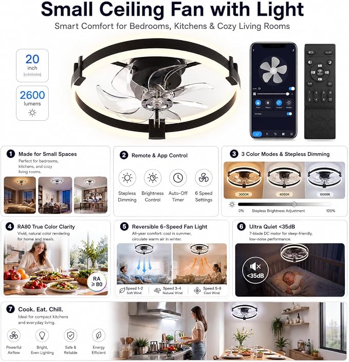 Bladeless Ceiling Fan (Black02, Small) | Bladeless Design, Ceiling Mount