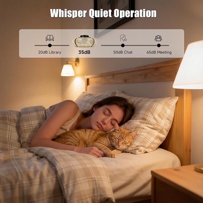 ocioc 20" Fandelier Ceiling Fans with Lights and Remote,Caged Ceiling Fan with Light,Flush Mount,Low Profile,Bladeless,Quiet Reversible DC Motor,Boho Rattan Ceiling Fan for Bedroom