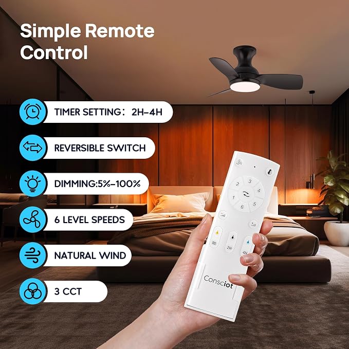 Consciot Ceiling Fan With Lights 30 Inch, Kids Ceiling Fan Black Modern, Flush Mount, Reversible Quiet DC Motor, 6 Speed, Dimmable, Kitchen Bedroom Patio