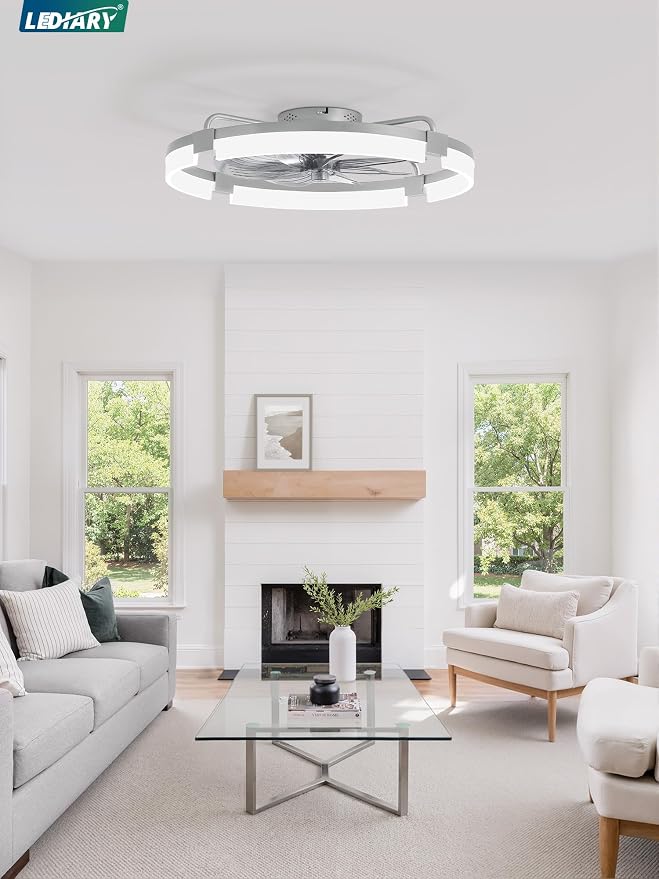 LEDIARY 24" Ceiling Fans with Lights and Remote, Modern Low Profile Ceiling Fan, 3 CCT, Stepless Dimmable, Fandelier Flush Mount Fan Light, 6 Speeds, DC Motor, App & Remote Control for Bedroom(Grey)