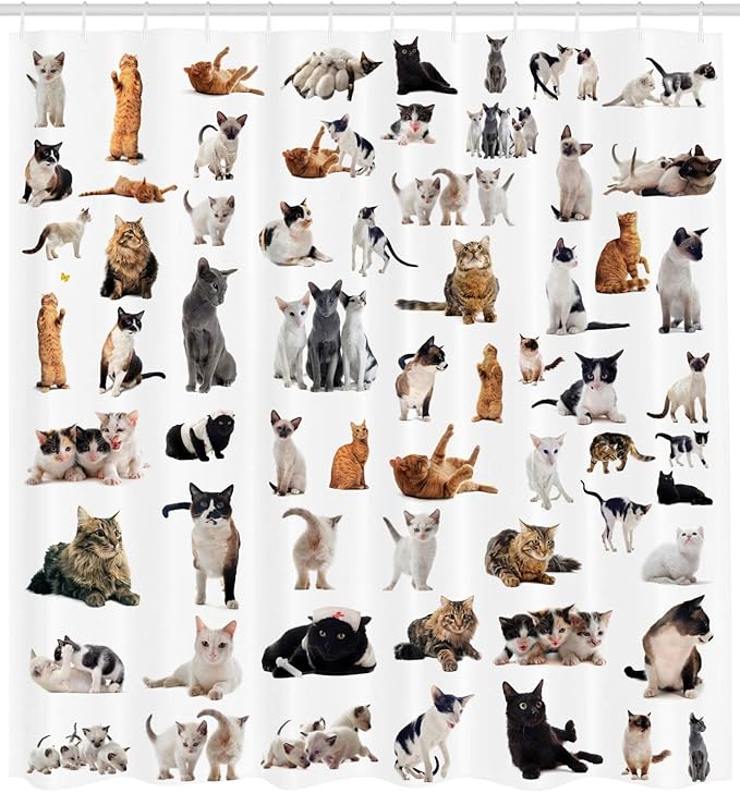Ambesonne Cat Lover Shower Curtain, Group of Cats and Kitten Lying Down Meowing Purebred Norwegian Siamese, Cloth Fabric Bathroom Decor Set with Hooks, 69" W x 70" L, Marigold White
