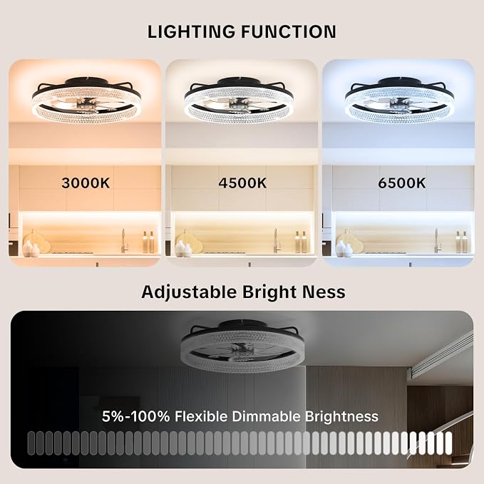 20" Ceiling Fan with Lights, Flush Mount Ceiling Fans, Ceiling Fans with Lights and Remote, 6 Speeds Dimmable Ceiling Lights with Fans, Quiet Modern Ceiling Fan for Bedroom Living Room