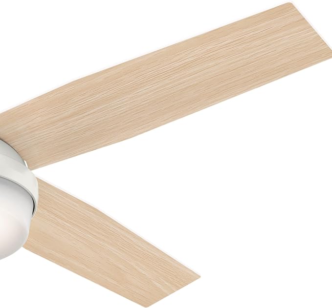 Hunter Dempsey, Outdoor or Indoor, Ceiling Fan, 52 inch, Fresh White | with LED Light and Remote Control, Standard Mount, 4 Blades, For Living Room, Patio, Porch, Garage, 59252