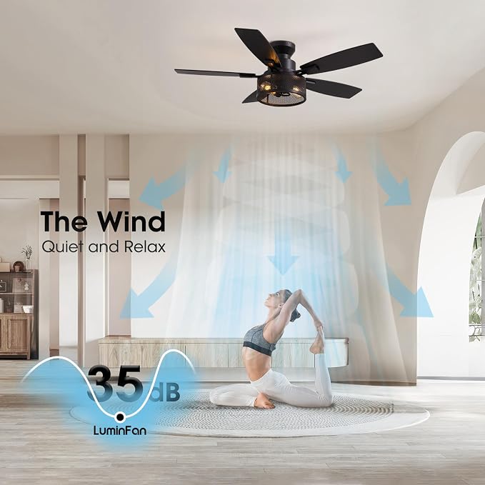 LuminFan Flush Mount Ceiling Fans with Lights and Remote Control, Low Profile Farmhouse Ceiling Fan with LED Lighting for Bedroom Living Room and Patio, Black Caged Ceiling Fan for Indoor and Outdoor