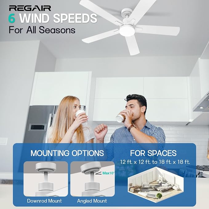 Ceiling Fan With Light 52-Inch, Remote Control Reversible DC Motors, 3CCT Dimmable Timer Noiseless, Nickel Ceiling Fan for Bedroom Living Room, Indoor&Outdoor ETL Listed