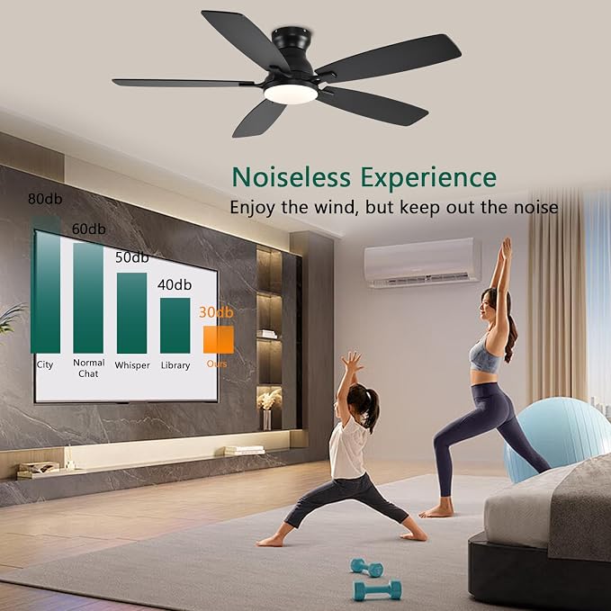 NKPU Ceiling Fans with Lights, Low Profile Ceiling Fan with Light and Remote/APP Control, DC Motor, Noiseless, Flush Mount, 52inch Black Ceiling Fan for Bedroom Indoor/Outdoor Use