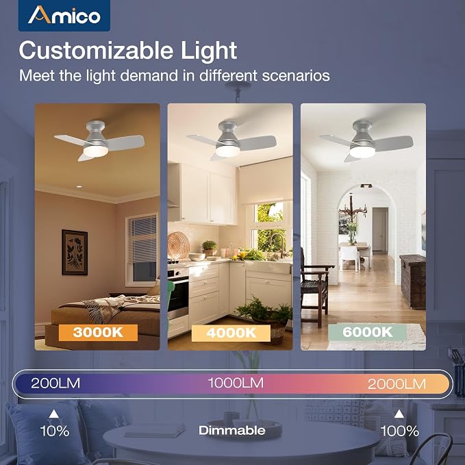 Amico Ceiling Fans with Lights, 30 Inch Low Profile Ceiling Fan with Light and Remote Control, Flush Mount, Reversible, 3CCT, Dimmable, Noiseless, Silver Ceiling Fan for Bedroom, Indoor/Outdoor Use