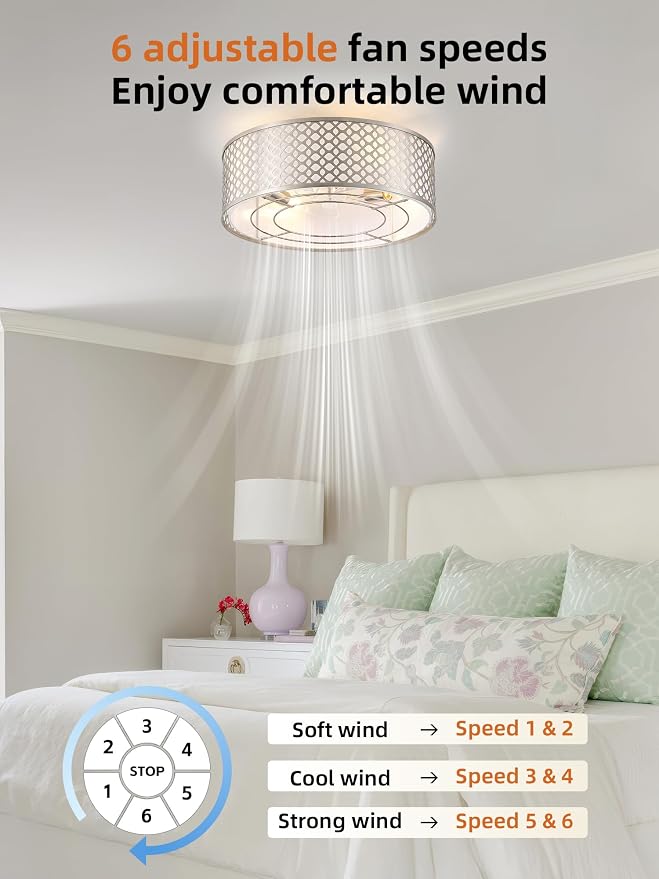20" Silver Ceiling Fan with Light Flush Mount, Caged Boho Ceiling Fans with Lights Remote Control, Round with 6 Speeds for Bedroom, Nursery, Living Room