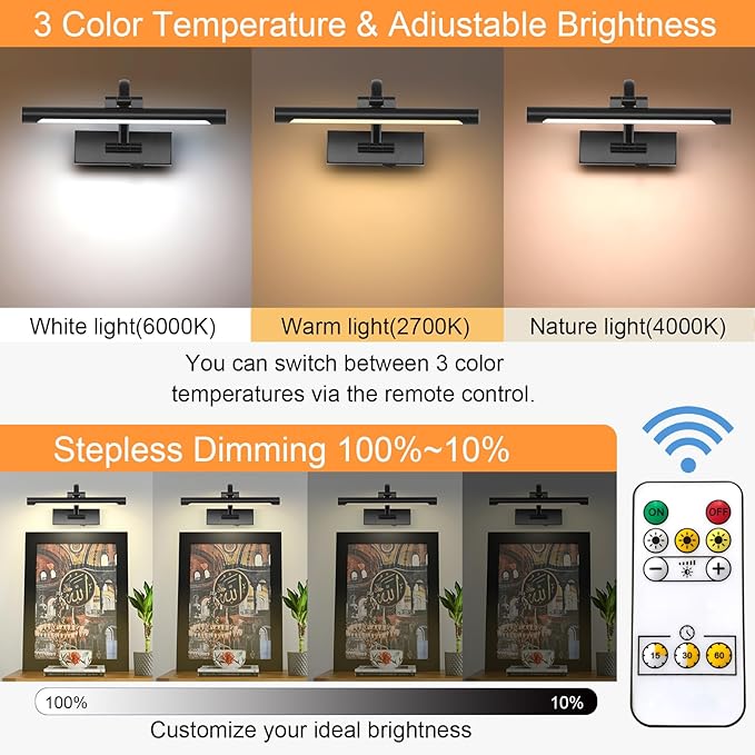 Tassuowell Battery Powered Picture Light with Remote and Timer,Full Metal Art Light with Swing Arm,12 Inch Dimmable,3CCT in One, Rechargeable Wall Lights for Display, Artwork, Canvas,Hallway