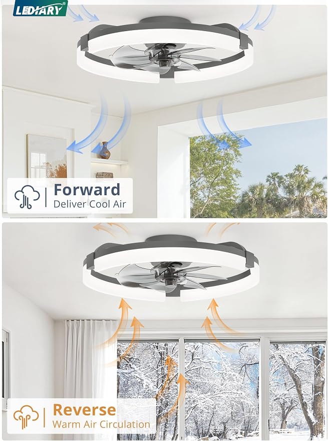LEDIARY 20" Ceiling Fans with Lights and Remote, Modern Low Profile Ceiling Fan, 3 CCT, Stepless Dimmable, Fandelier Flush Mount Fan Light, 6 Speeds, DC Motor, App & Remote Control for Bedroom(Gray)