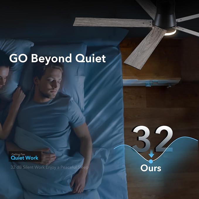 Rayqueen 60 Inch Flush Mount Black Ceiling Fans with Lights and Remote | 6 Speed Reversible DC motor,3-color temperature dimmable LED.For indoor/covered outdoor.Modern style for bedroom room