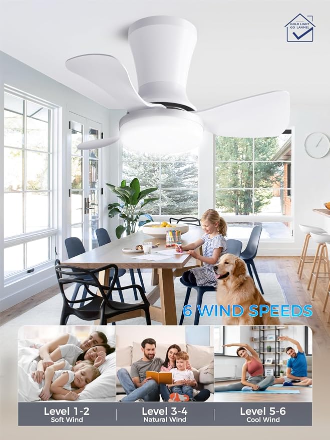 LANMEL Ceiling Fan with Light, Modern Flush Mount Low Profile with Remote Control, Reversible, 3CCT Dimmable, Quiet,LED for Bedroom, Living Room, Indoor/Outdoor Patio Use 22 Inch Silver & White