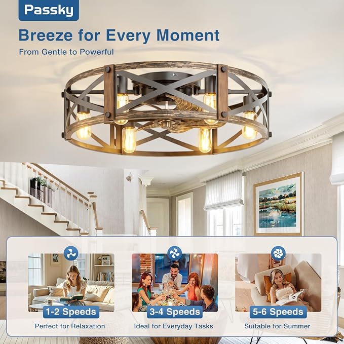 Passky 24" Farmhouse Flush Mount Ceiling Fans with Lights and Remote, Industrial Black Caged Low Profile Fandelier, 6 Speeds Bladeless Ceiling Fan for Bedroom, Kitchen, Living Room