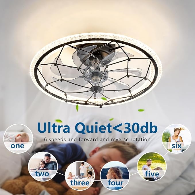 Dalouguan Matte Black Ceiling Fan with Light, Farmhouse Chemistry Molecular Model Caged Ceiling Fan with Remote, LED Low Profile Ceiling Light for Bedroom Kitchen Living Room